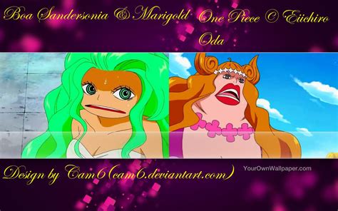 One Piece Wallpaper Sandersonia And Marigold 2 By Camanime7794 On Deviantart