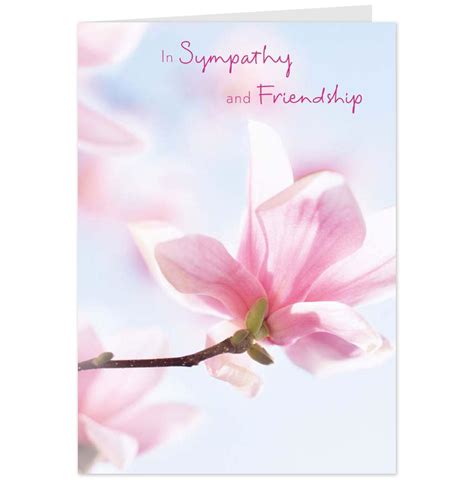 Whoever says friendship is easy has obviously never had a true friend! Friendship Quotes Sympathy. QuotesGram