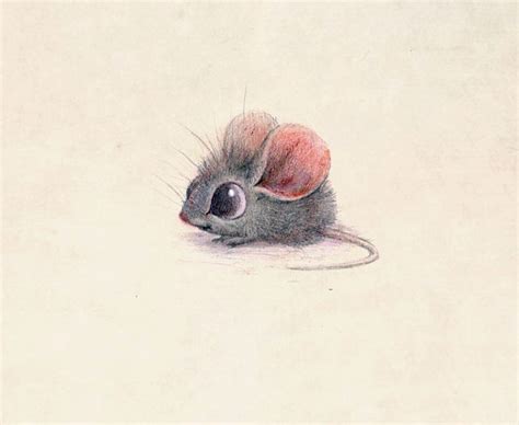 Incredibly Cute Animal Illustrations By Sydney Hanson Will Make You