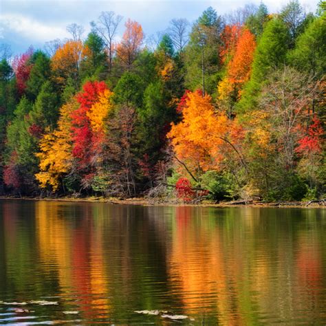 Best Places For Beautiful Fall Colors In Tennessee And Mississippi