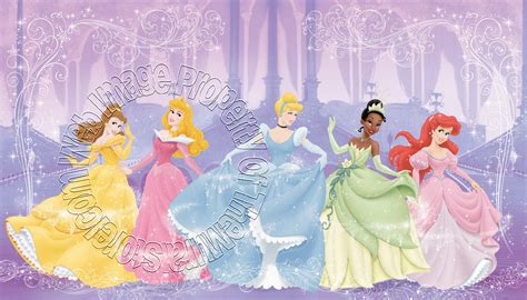 Disney Perfect Princess Wall Mural By Roommates Childrens Murals The