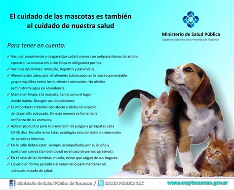 el cuidado de las mascotas es también el cuidado de nuestra salud ministerio de salud pública