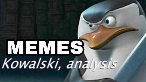 kowalski analysis memes compilation youtube