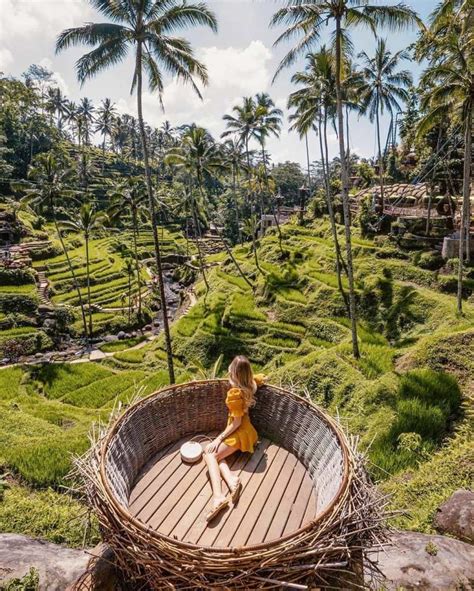 Tegalalang Rice Terrace How To Make The Most Out Of This Place Miss Nauti Tales Bali Bali