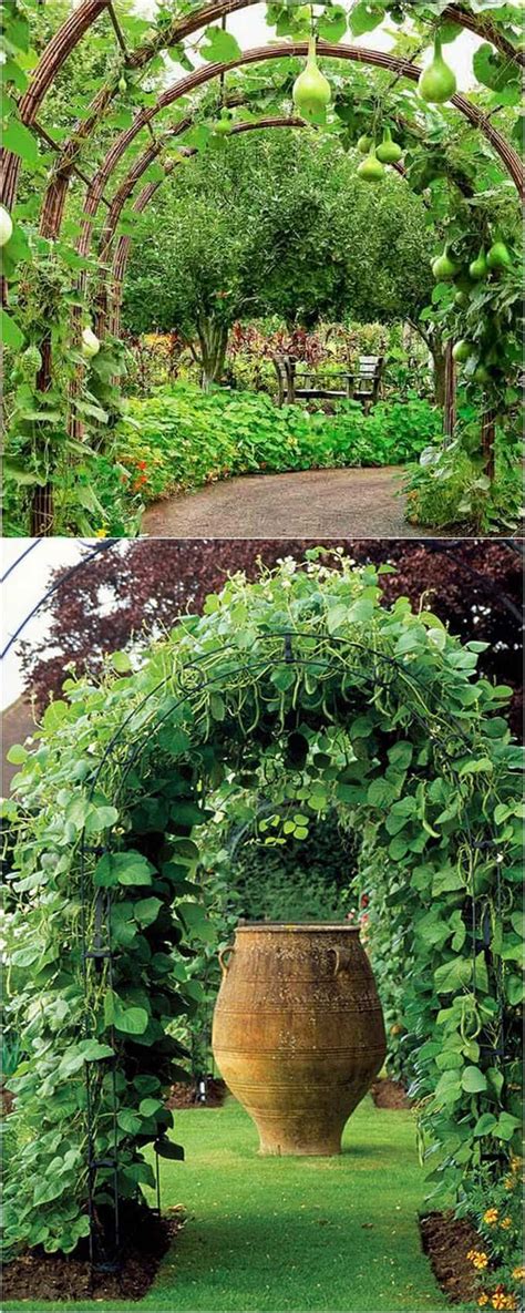 24 Easy Diy Garden Trellis Ideas And Plant Structures A Piece Of