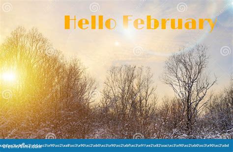 Banner Hello February Winter Landscape Snow And Snow Trees Nature