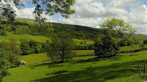 Kettlewell England Pasture Trees Fields Wallpaper Nature And