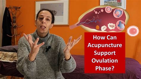 How Can Acupuncture Support Ovulation Time Youtube