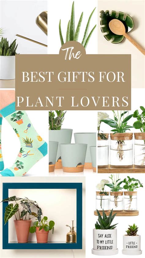 The Best T Ideas For Plant Lovers