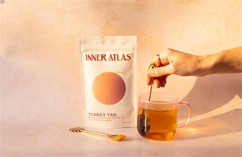 turkey tail turmeric and ginger immune boost tea recipe inner atlas inner atlas