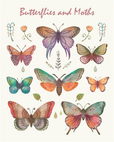 Premium Vector Collection Of Elegant Colored Butterflies