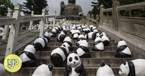 Panda Monium Hits The City Yp South China Morning Post