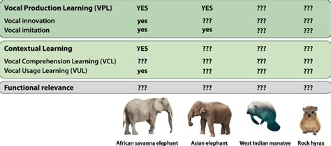 Knowledge About Vocal Learning In Selected Species Of Paenungulata The