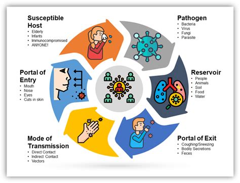 Chain Of Infection Overview