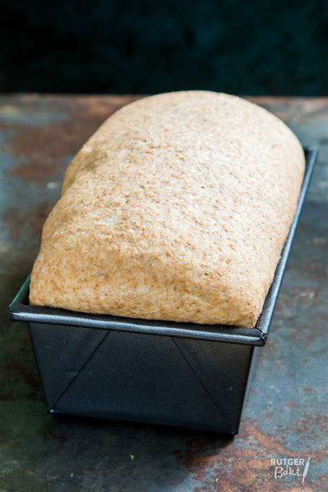 Volkoren Brood In Blik Recept Rutger Bakt