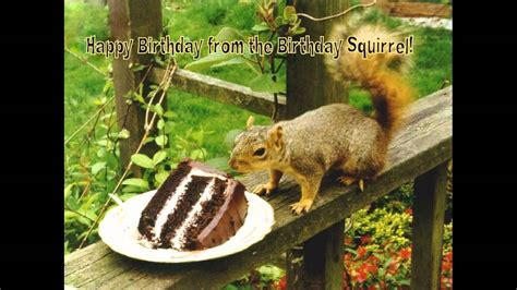 Happy Birthday Eichhörnchen - SUBSIM Radio Room Forums