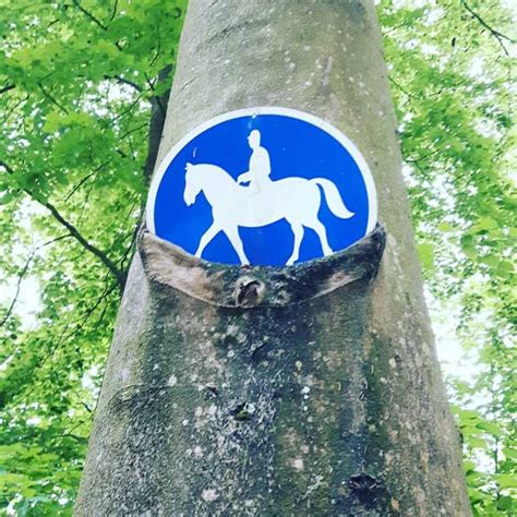 Dusche ohne tur zoile xyz. Leben ohne Dusche und Wanne treibt Autorin in Wahnsinn ...