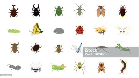 Ilustración De Conjunto De Insectos Y Más Vectores Libres De Derechos