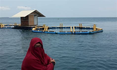 Tawarkan nuansa pedesaan, 12 tempat makan di banyuwangi ini wajib dicoba! 10 Gambar Pantai Bangsring Banyuwangi, Tiket Masuk Lokasi ...