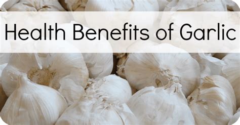 Top 10 Health Benefits Of Garlic Healthpositiveinfo