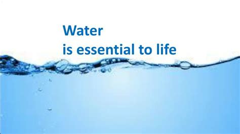 Ppt Water Is Essential To Life Powerpoint Presentation Free Download