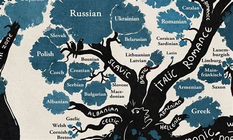 El árbol De Las Lenguas Origen Del Lenguaje Lenguas Del Mundo