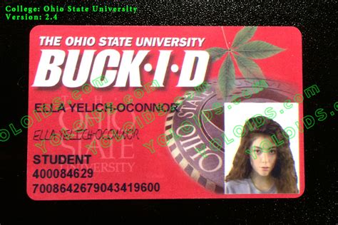 Maybe you would like to learn more about one of these? YOLOIDs.com (2014 Ohio State University ID) by yoloids on DeviantArt