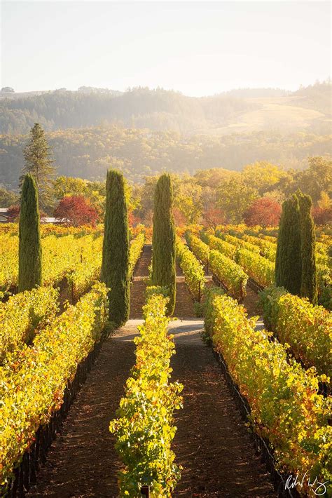 Villa De Wine Country Napa Valley California Richard Wong Photography