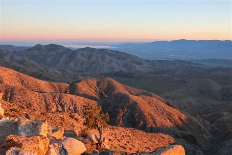 13 Best Things To See And Do In Joshua Tree National Park California