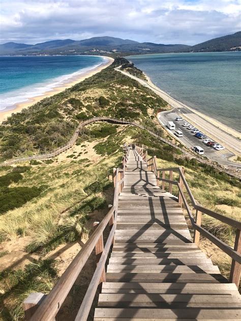 We acknowledge the traditional custodians of the country on which the gallery stands, the gadigal of the eora nation, and recognise their continuing connection to land, waters and culture. unique-things-to-do-australia | ALEX CERBALL