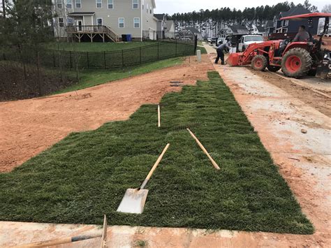 Whats The Best Time To Plant Fescue Grass Turf Connections