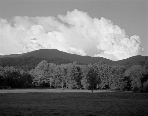 Learn the main concepts of landscape design. Grayscale Gallery - IMAGE WORKS