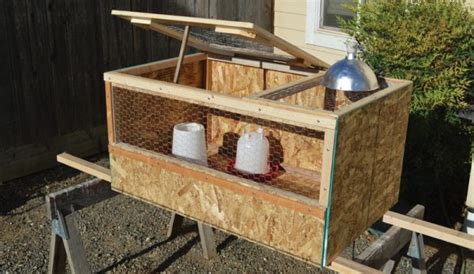Easy Plans For A Diy Chick Brooder Hobby Farms