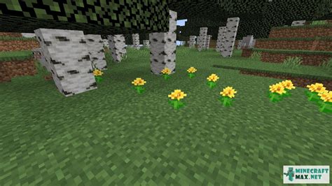 Dandelion How To Craft Dandelion In Minecraft Minecraft Wiki