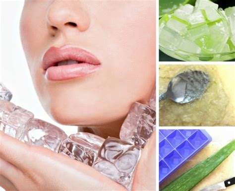 Jika anda ingin menghilangkan jerawat dengan produk. Jerawat Kecut Lebih Cepat Dengan Kiub Ais Aloe Vera. Elok ...