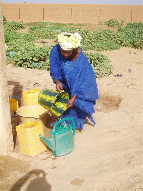 Woman Collecting Water From A Well In Keidi Southern Mauritania غذاء صحة حقوق إنسان The