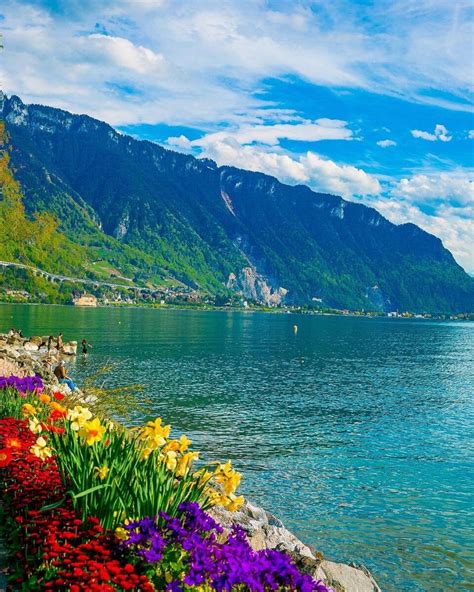 Colorful Spring In The Swiss Alps On Lake Geneva In Montreux
