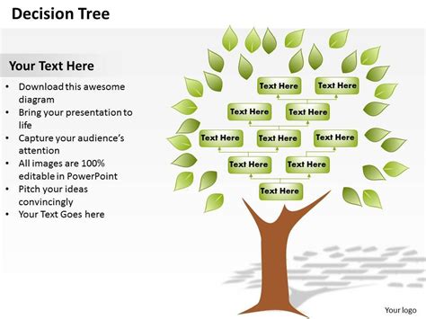 Professional Business Presentation Showing Decision Tree
