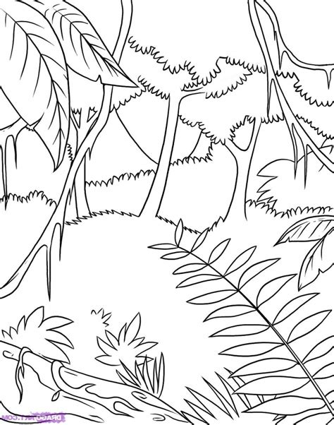 The Best Free Rainforest Drawing Images Download From 772 Free