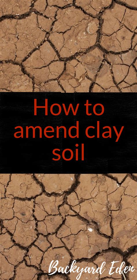 How To Amend Clay Soil Backyard Eden