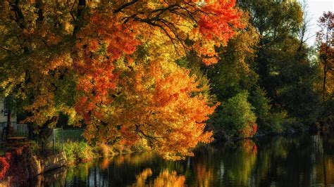 Colorful Autumn Trees Reflection On Water Hd Nature Wallpapers Hd