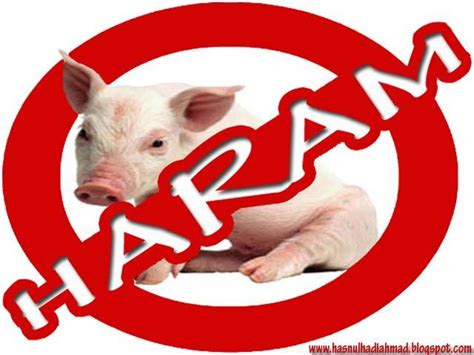 alasan MENGAPA ANJING DAN BABI DIHARAMKAN DALAM ISLAM ? | KASKUS