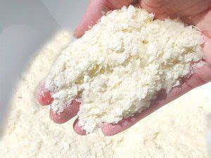 Milk, cornmeal, plaster of paris the second method uses milk, cornmeal, and plaster of paris. How to Make Homemade Mouse Poison Using Common Ingredients ...