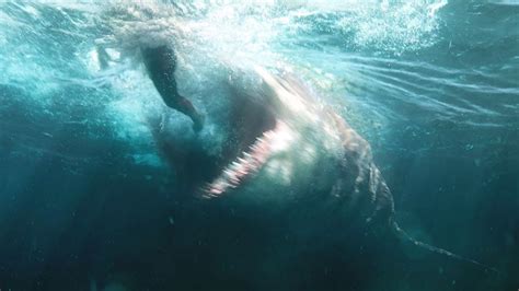 Scary Megalodon Proof We Can No Longer Ignore Youtube