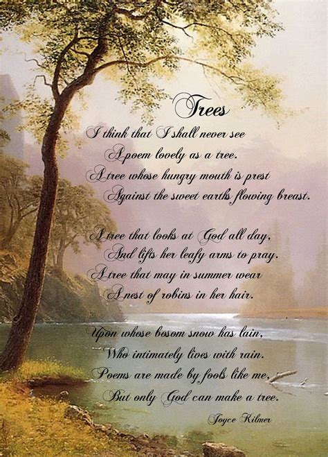I Think That I Shall Never See A Poem Lovely As A Tree