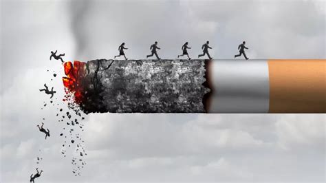12 Bahaya Merokok Bagi Kesehatan Tubuh Inspirasi Shopee