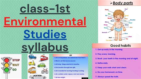 Class 1 Evs Syllabus 1st Class Evs Worksheet Grade 1 Evs Lessons