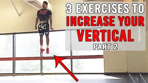 Workouts To Increase Vertical Jump Fast Blog Dandk