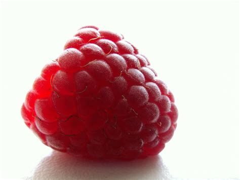 Natural Raspberry Flavor | Flavor Xtend - Natural Flavor Concentrates 