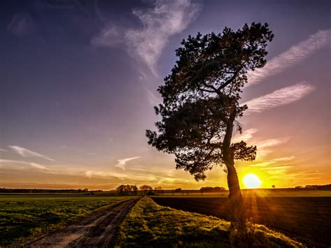 Baum Im Sonnenuntergang Foto And Bild Landschaft Äcker Felder